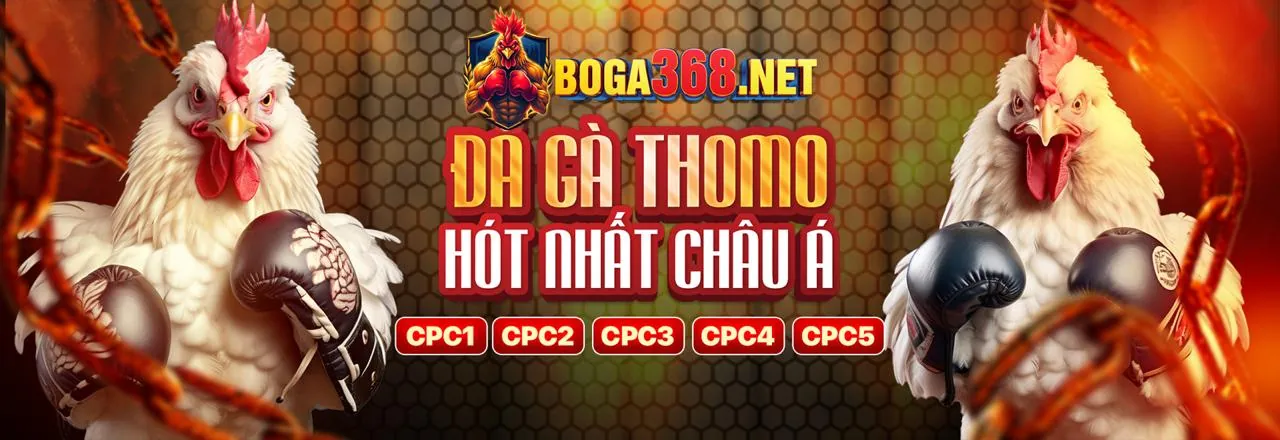 Đá Gà Trực Tuyến keo nha cai .de