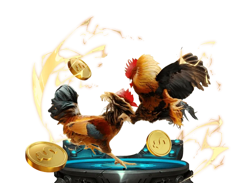 Tầm quan trọng của chiến lược cá cược keo nha cai .de